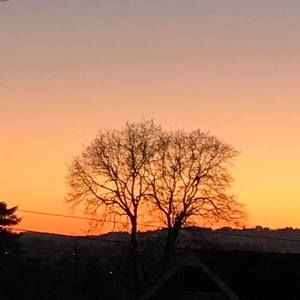 Meet your Posher, Chase